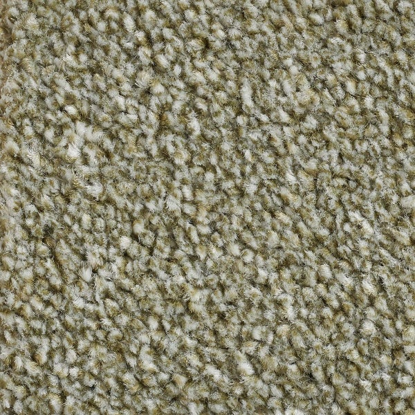 Teppichboden Velours Meterware grün Teppich Auslegware 10 mm dick 500 cm Breite (Meterware)