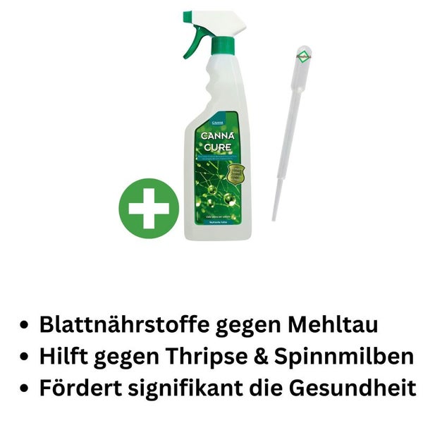 Canna Cure 750 ml – 100% biologischer Pflanzenschutz für Blüte & Wachstum – Effektiver Schutz gegen Thripse, Blattläuse & Ungeziefer – Umweltfreundlich & einfach anzuwenden – Praktische Sprühform für gezielten Schutz