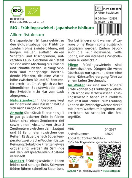 SAFLAX Garden to go - BIO - Frühlingszwiebel - Japanische Ishikura - Allium fistulosum - 150 Samen - Mit Topf, Klima - Deckel und Anzuchtsubstrat