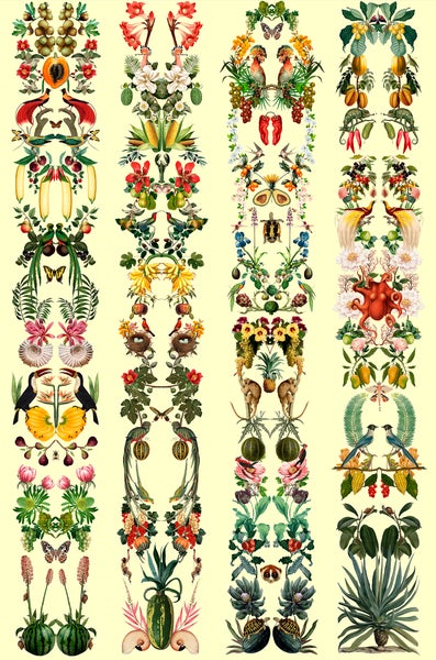 Illustration mit exotischen Pflanzen, Tieren und Früchten