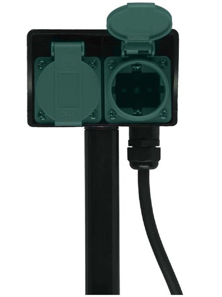 Nahaufnahme von Ahornblättern