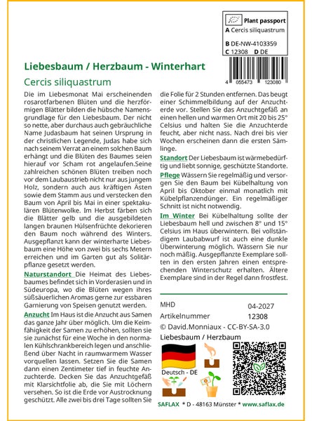 SAFLAX  - Liebesbaum / Herzbaum - Cercis siliquastrum - 60 Samen