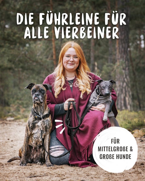 Frau mit zwei Hunden und Hundeleine im Freien. Geeignet für mittelgroße und große Hunde.
