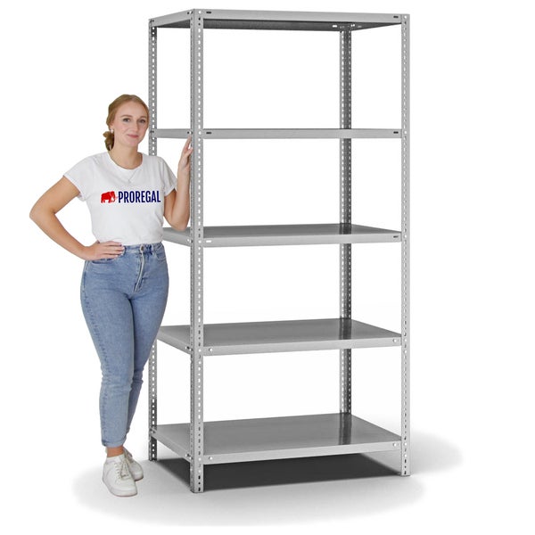 PROREGAL Fachbodenregal Schraubsystem Medium-Duty Grundregal HxBxT 200 x 100 x 60 cm 5 Ebenen Fachlast 200 kg Beidseitig Nutzbar Verzinkt