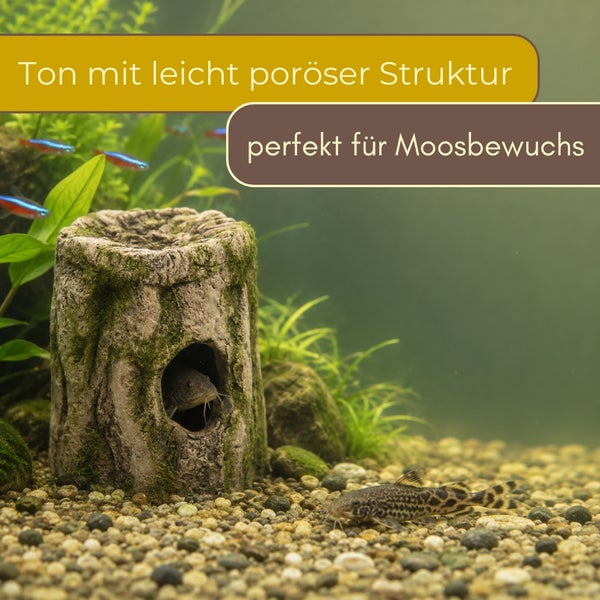 Aquariendekoration Baumstumpf aus Ton mit poröser Struktur, ideal für Moosbewuchs, in einem Aquarium mit Pflanzen und Fischen.