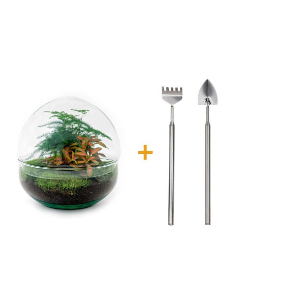 Flaschengarten Dome - Glaskugel - DIY-Pflanzenterrarium - 20 cm hoch - incl. Rechen und Schaufel