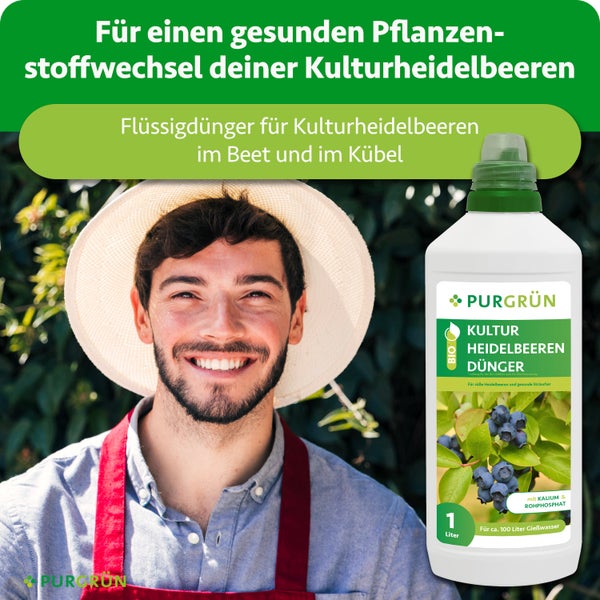 Purgrün Bio-Flüssigdünger für Kulturheidelbeeren in der 1 Liter Flasche für gesundes Pflanzenwachstum im Beet und Kübel.