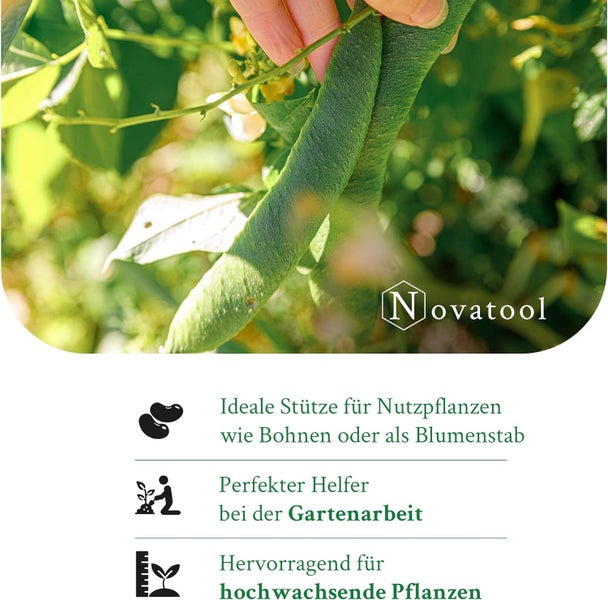 Novatool Logo. Hand hält eine grüne Bohne. Symbole für Pflanzenstütze für Nutzpflanzen, Hilfe bei der Gartenarbeit und hochwachsende Pflanzen.