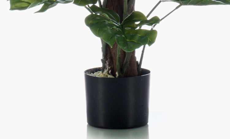 Künstliche Pflanze Monstera deliciosa im schwarzen Topf mit Moosstab.