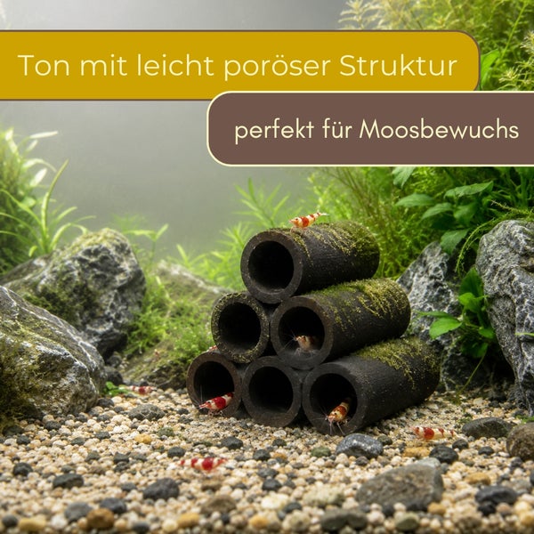 Tonröhren-Pyramide für Aquarien mit poröser Struktur, ideal für Moosbewuchs und als Versteck für Garnelen in einer hellen Unterwasserlandschaft.