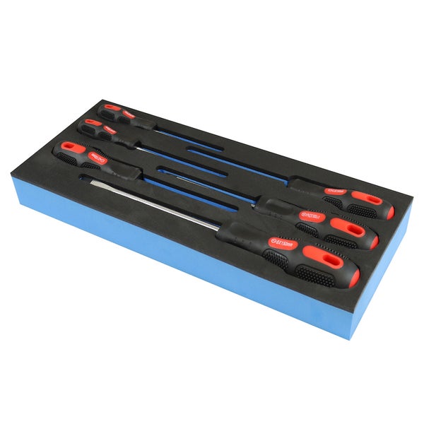 PROREGAL Werkzeug Satz Werkstattwagen Cheetah Schraubendrehersatz 6 Teile mit Schaumstoff Schubladeneinlage HxBxT 4,6 x 34 x 12,5 cm