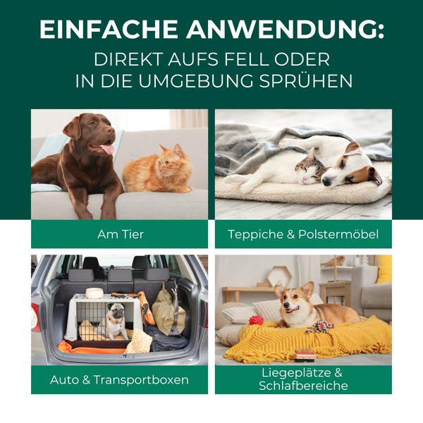 Silberkraft Grasmilben-Ex Spray für Hunde & Katzen 500 ml, effektiver Schutz gegen Gras-Milben, Parasiten & Ungeziefer, lindert Juckreiz, für Fell, Liegeplätze & Umgebung