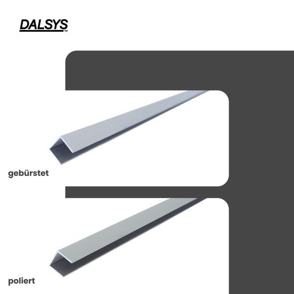 Dalsys Logo, Metallprofile in den Ausführungen gebürstet und poliert.