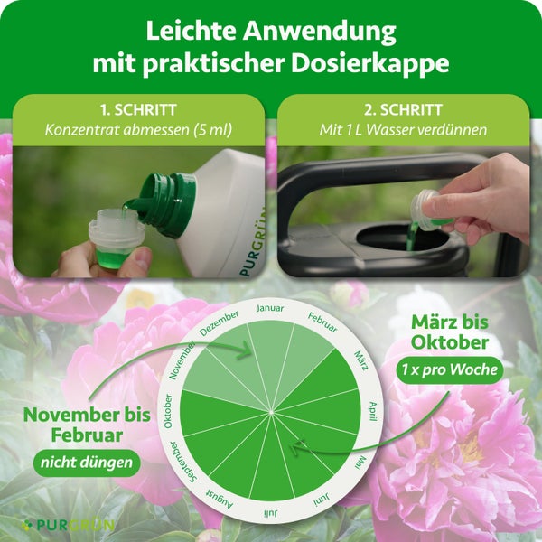 Anleitung für Pflanzendünger: Konzentrat abmessen, mit einem Liter Wasser verdünnen. Anwendung März bis Oktober einmal pro Woche. Purgrün Logo.