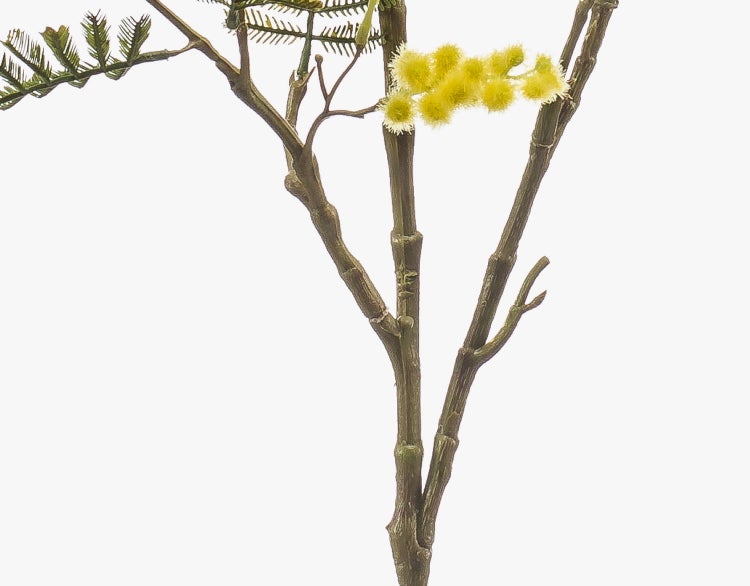 Künstlicher Olivenbaum in einem schwarzen Topf mit grünen Blättern und dunklen Olivenfrüchten.