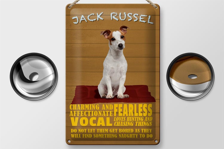 Blechschild Spruch 20x30cm Jack Russel Hund charming