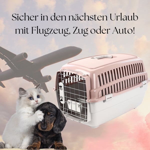 Transportbox IATA Flugbox Flugzeug Transport Auto Box Hunde Katzen Gr. M