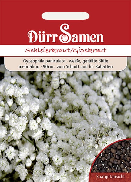 Samentüte für Schleierkraut von Dürr Samen mit weißen gefüllten Blüten für Rabatten und Schnittblumen, Wuchshöhe circa 90 Zentimeter.