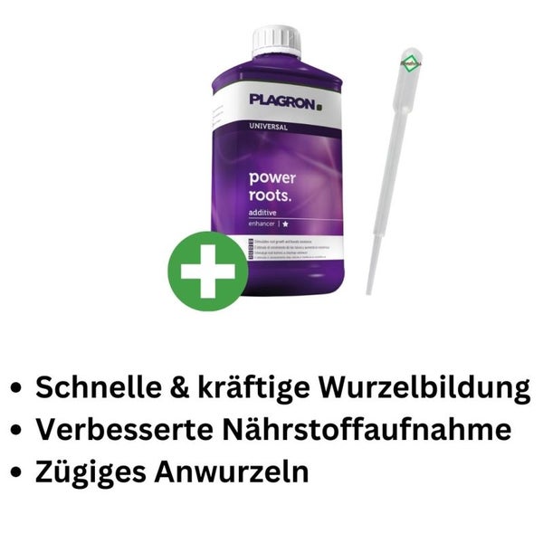 Plagron Power Roots 500 ml – Mineralischer Wurzelstimulator für kräftiges Wurzelwachstum, vielseitig einsetzbar mit Pipette für Grow, Tomaten & Orchideen