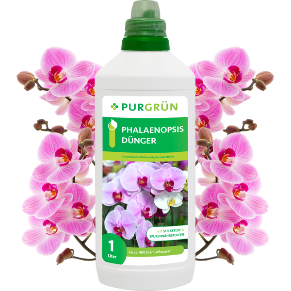 Purgrün Phalaenopsis-Dünger 1 Liter