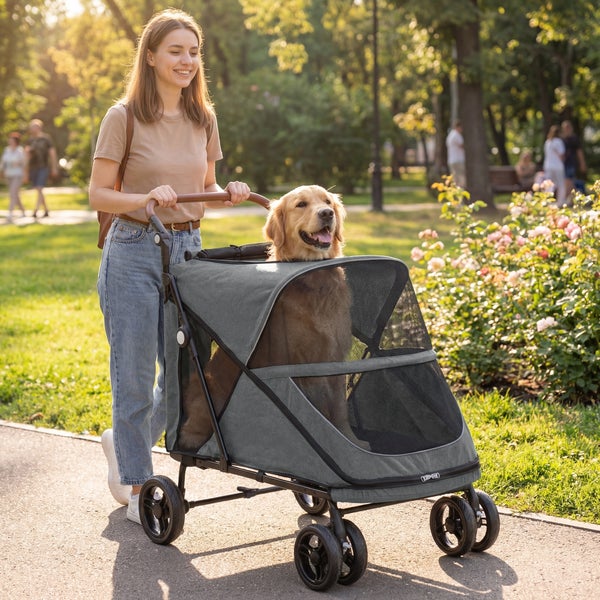 Eine Frau schiebt einen grauen Hundebuggy mit einem Golden Retriever durch einen hellen Park auf einem befestigten Weg.