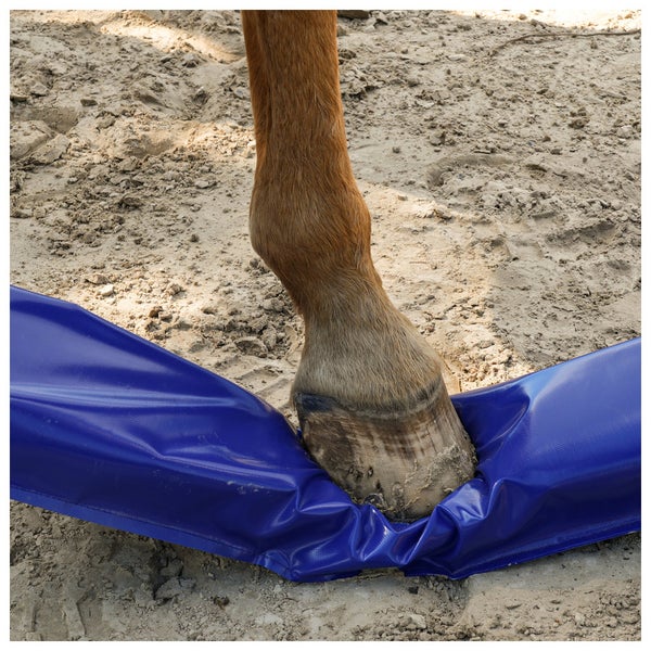 Ein Pferdehuf tritt auf ein flexibles, blaues Trainingshindernis in einer Sandarena.