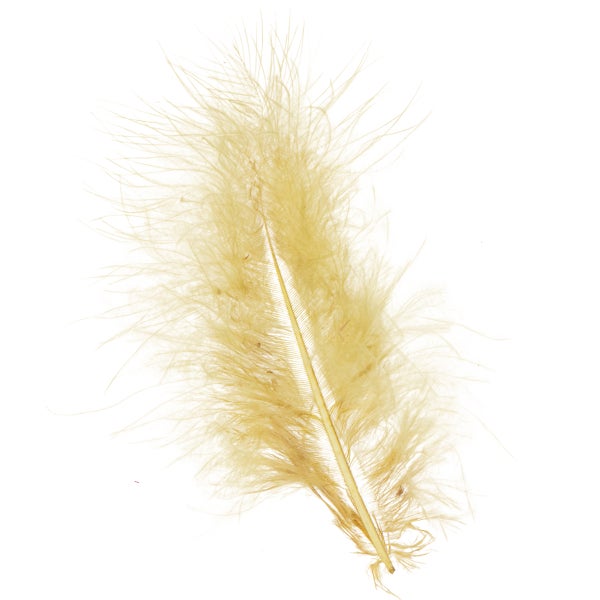 Flauschige goldfarbene Schmuckfeder aus Naturmaterial.