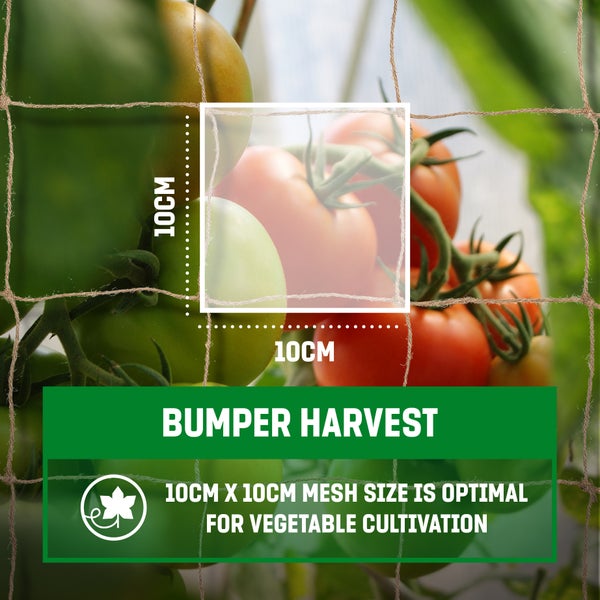 GardenGloss Jute Ranknetz Nachhaltig 100% Biologisch Abbaubar - Mit grosser Maschenweite für Gurken, Tomaten und Anderen Gemüsepflanzen - Rankhilfen für Kletterpflanzen (2m x 10m)