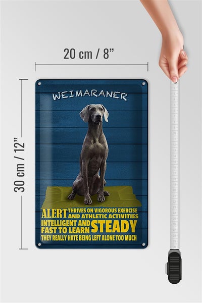 Blechschild Spruch 20x30cm Weimaraner Hund alert and steady