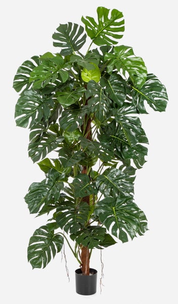 Nahaufnahme einer künstlichen Monstera mit großen grünen Blättern und charakteristischen Blattlöchern an einem Stamm.