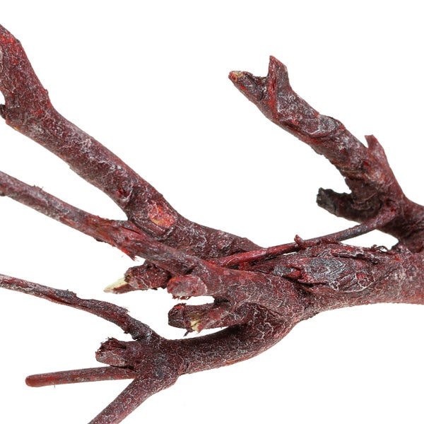 Roter dekorativer Ast aus Naturholz.