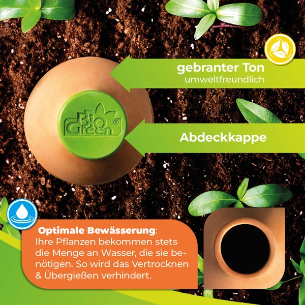 Olla Pflanzenbewässerung Hydro Max in den Größen 4 x 1 L