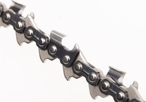 Nelkenpflanze mit rosa Blüten