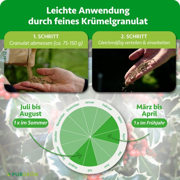 Infografik zur Anwendung von Purgrün Krümelgranulat: Abmessen von circa 75 bis 150 Gramm, Verteilen, Kalender für Frühjahr und Sommer. Purgrün Logo.