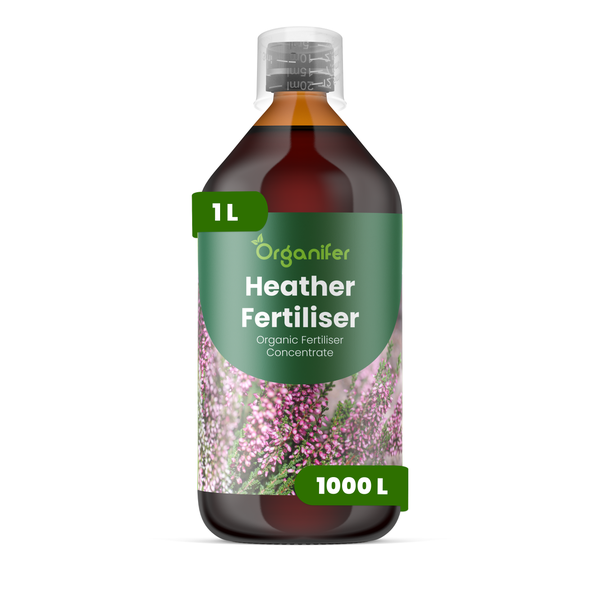 Organifer Heidekrautdünger, organisches Düngerkonzentrat, 1 Liter Flasche mit Messkappe.