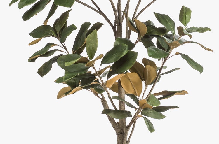 Künstliche Magnolie mit grünen und braunen Blättern an verzweigten Ästen.