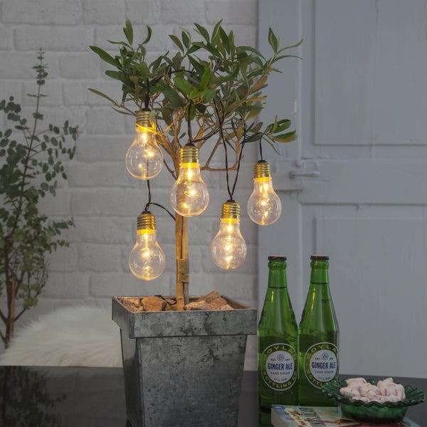 Dekorative Glühbirnen Lichterkette um einen Topfbaum gewickelt, neben zwei Getränkeflaschen.