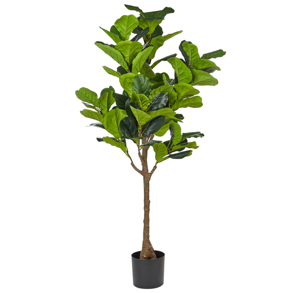 Künstlicher Ficus Lyrata in einem schwarzen Topf