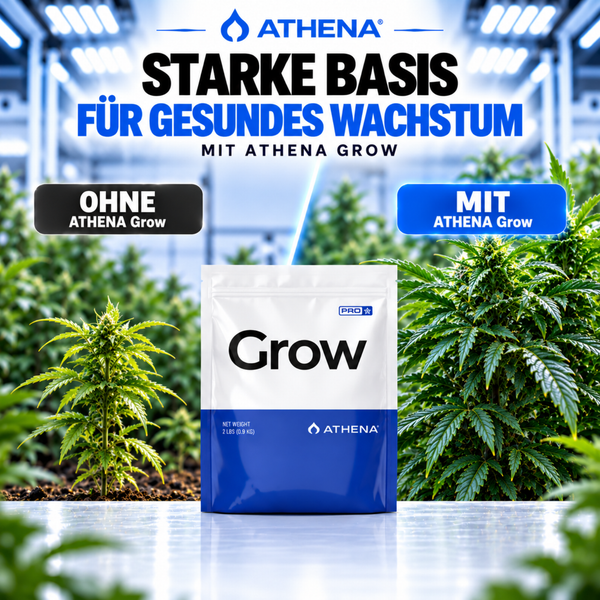 Athena Grow Pflanzendünger Verpackung im direkten Vergleich mit und ohne Anwendung bei einer Hanfpflanze