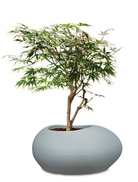 Scheurich Flow 73, Pflanzgefäß/Blumentopf/Pflanzkübel, kieselförmig,  aus Kunststoff Farbe: Stony Grey, 73 cm Breite, 58 cm Tiefe, 35,2 cm hoch, 21 l Vol.