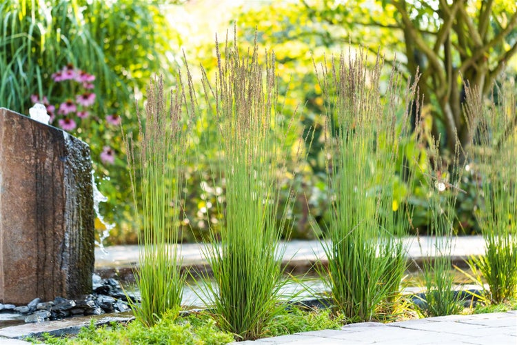 Gartenlandschaft mit Ziergras und Wasserspiel