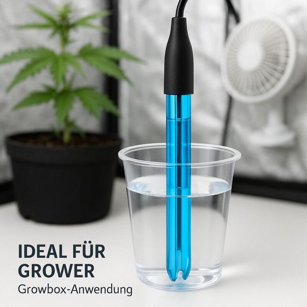 pH-Messgerät im Glas Wasser, Growbox im Hintergrund