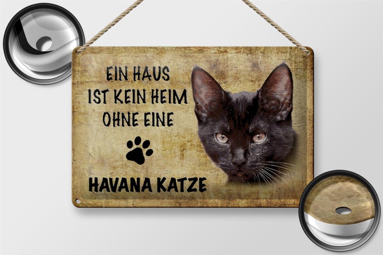 Blechschild Spruch 30x20cm Havana Katze ohne kein Heim