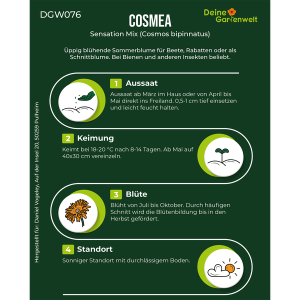 Infografik für Cosmea Sensation Mix mit Hinweisen zu Aussaat, Keimung, Blüte und Standort sowie dem Deine Gartenwelt Logo.