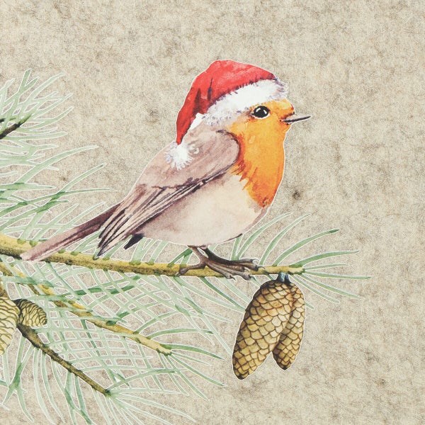 Weihnachtsdekoration mit einem Rotkehlchen mit Weihnachtsmütze auf einem Tannenzweig mit Tannenzapfen