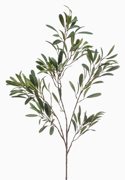 Nahaufnahme eines künstlichen Olivenzweigs mit strukturierter Rinde und schmalen grünen Blättern.