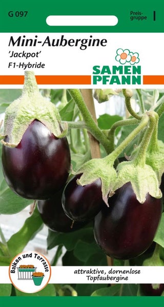 Samenpackung Mini Aubergine Jackpot F1-Hybride von Samen Pfann