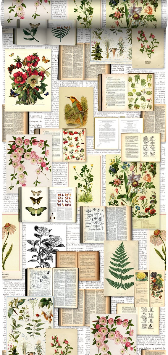 ESTAhome XXL-Vliestapete Seiten aus botanischen Büchern Crème-Beige, Grün, Braun und Ockergelb - 50 x 900 cm - 158825