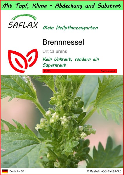 SAFLAX Garden to go - Brennnessel - Urtica urens - 150 Samen - Mit Topf, Klima - Deckel und Anzuchtsubstrat