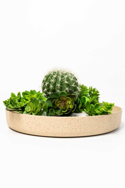 Künstliches Sukkulenten- und Kaktus-Arrangement in einer beige gesprenkelten Schale.